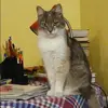 Отзыв от Галя Троицкая